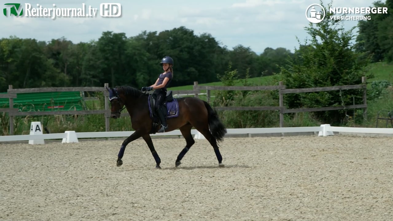 Richtig Reiten mit Rudi Brügge Teil III - präsentiert von der NÜRNBERGER Versicherung