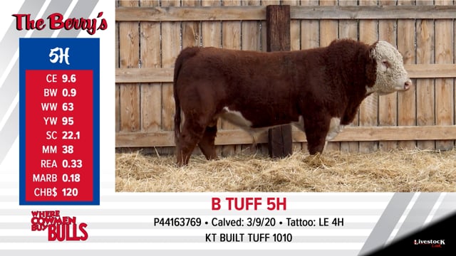 Lot #5 - B TUFF 5H