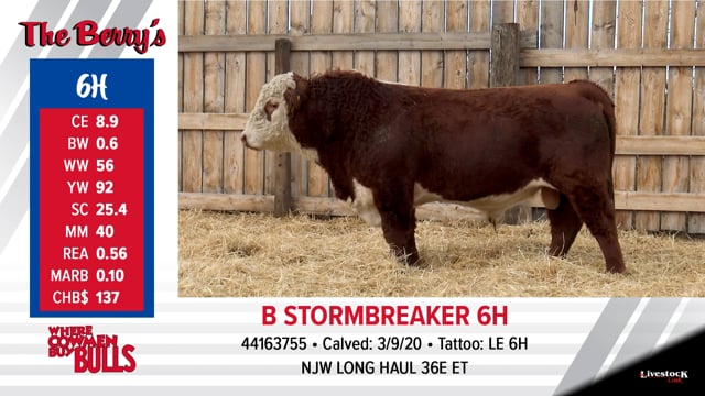 Lot #6 - B STORMBREAKER 6H