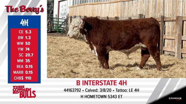 Lot #4 - B INTERSTATE 4H