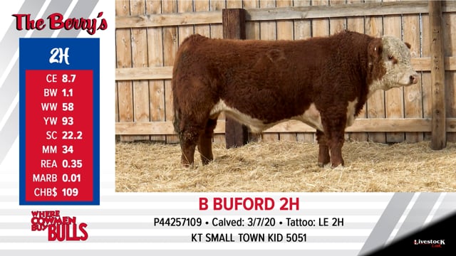 Lot #2 - B BUFURD 2H
