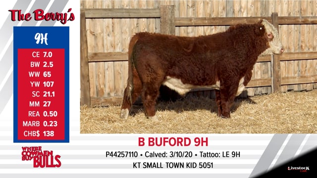 Lot #9 - B BUFORD 9H ***OUT OF SALE***