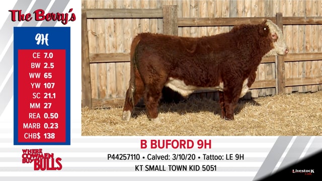 Lot #9 - B BUFORD 9H ***OUT OF SALE***