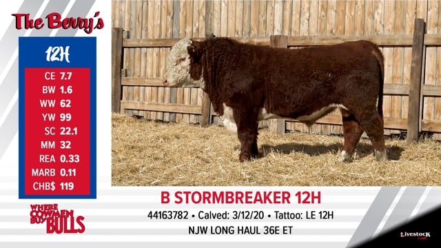 Lot #12 - B STORMBREAKER 12H