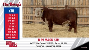 Lot #13 - B PJ MASK 13H
