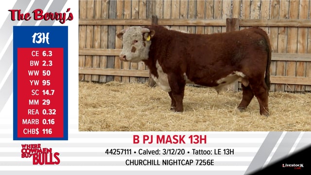 Lot #13 - B PJ MASK 13H