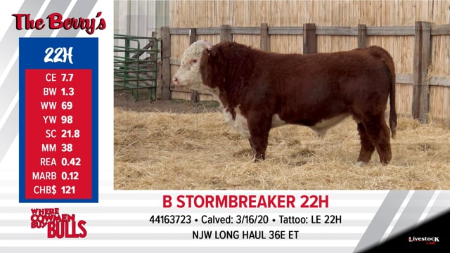 Lot #22 - B STORMBREAKER 22H