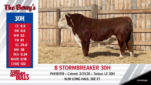 Lot #30 - B STORMBREAKER 30H