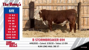 Lot #61 - B STORMBREAKER 61H