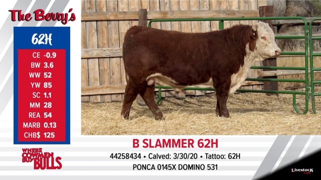 Lot #62 - B SLAMMER 62H