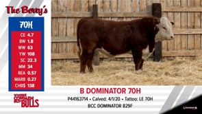 Lot #70 - B DOMINATOR 70H