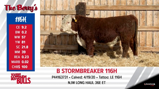 Lot #116 - B STORMBREAKER 116H