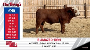 Lot #109 - B AMAZED 109H