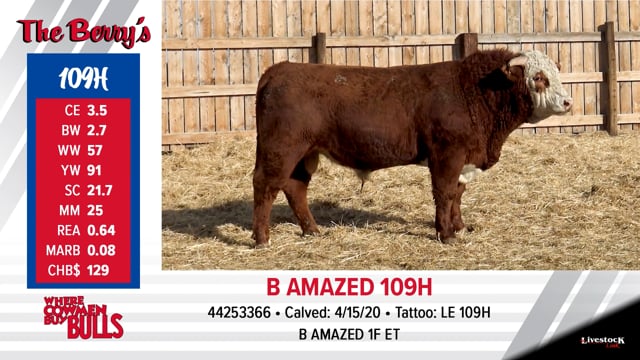 Lot #109 - B AMAZED 109H