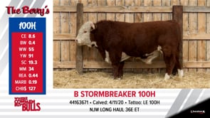 Lot #100 - B STORMBREAKER 100H