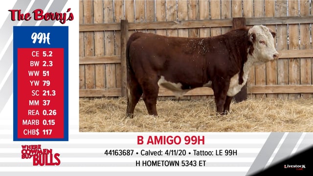 Lot #99 - B AMIGO 99H