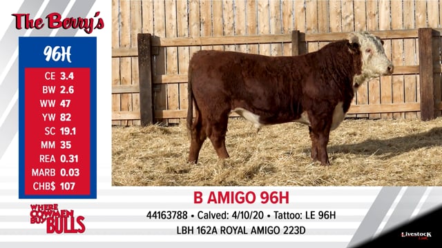 Lot #96 - B AMIGO 96H