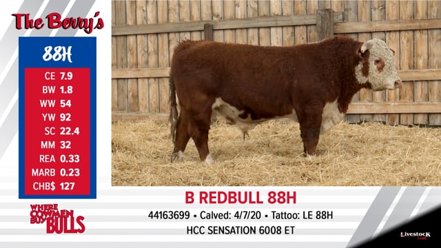 Lot #88 - B REDBULL 88H