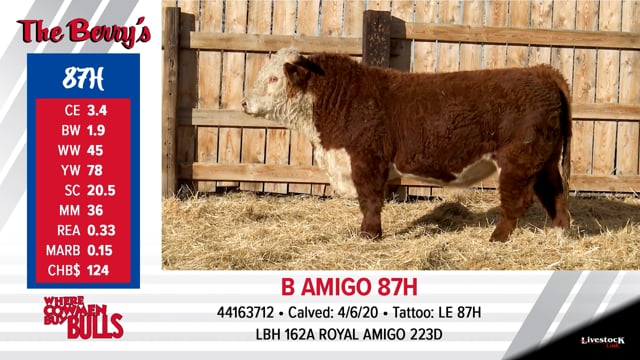 Lot #87 - B AMIGO 87H
