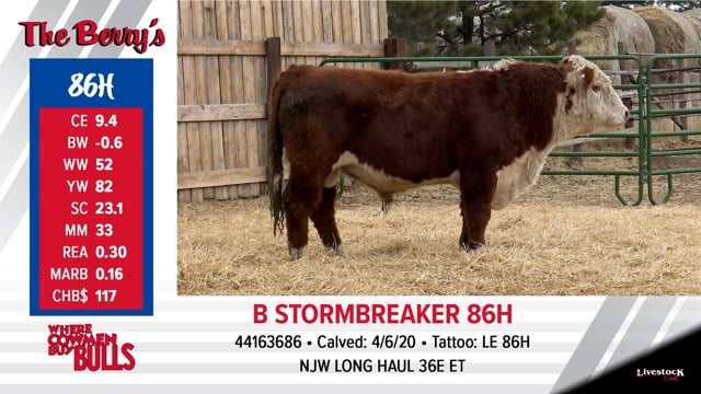 Lot #86 - B STORMBREAKER 86H