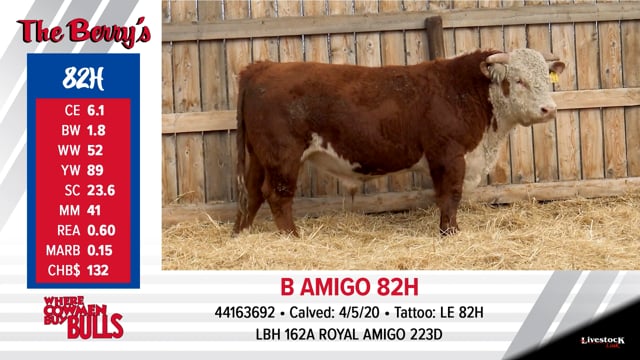 Lot #82 - B AMIGO 82H
