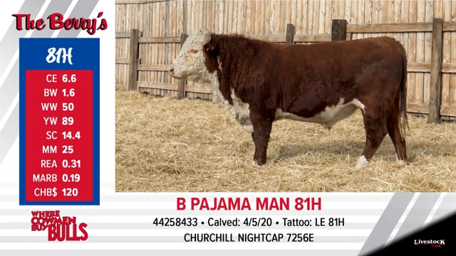 Lot #81 - B PAJAMA MAN 81H