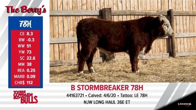 Lot #78 - B STORMBREAKER 78H