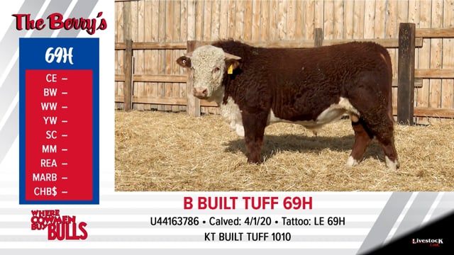 Lot #69 - B BUILT TUFF 69H