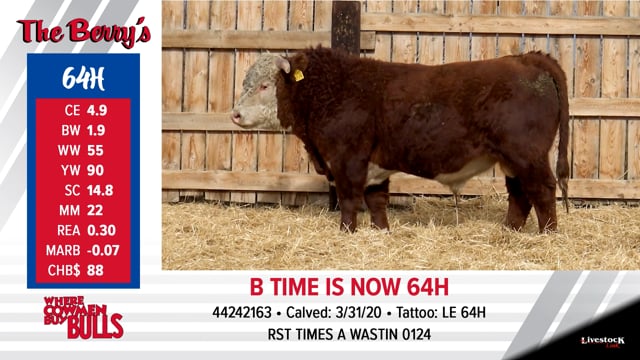 Lot #64 - B TIME IS NOW 64H