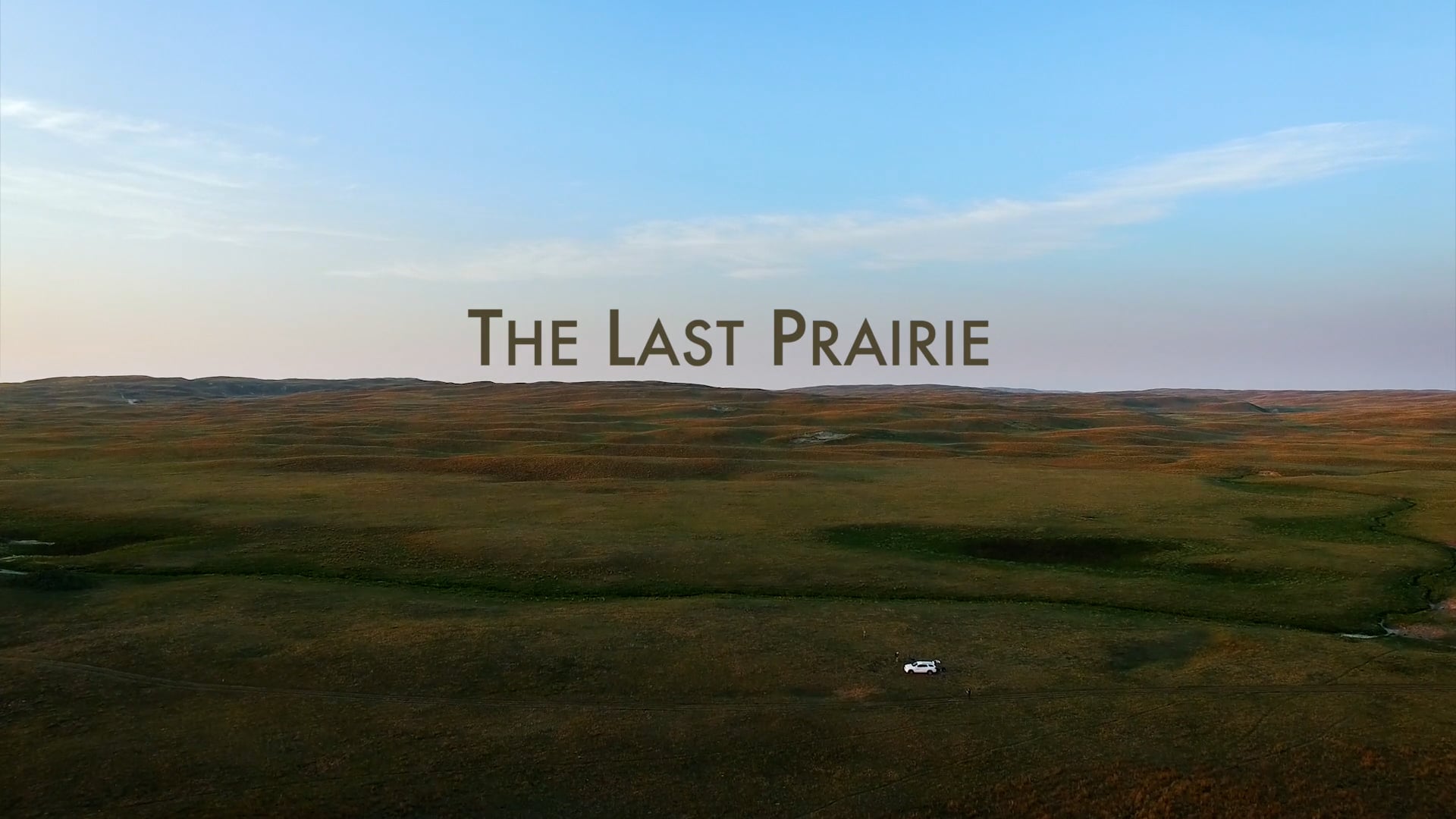 The Last Prairie