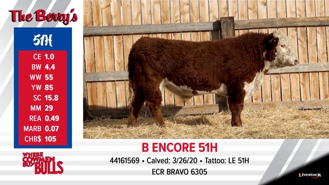Lot #51 - B ENCORE 51H