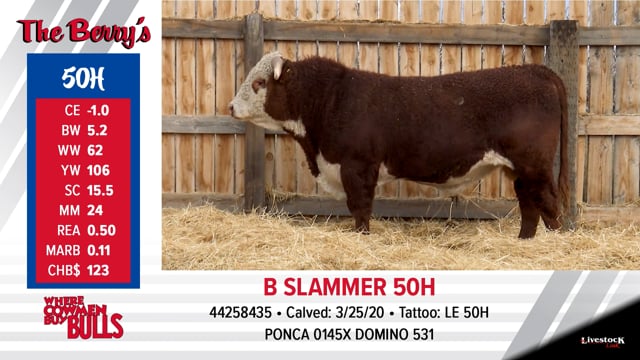 Lot #50 - B SLAMMER 50H