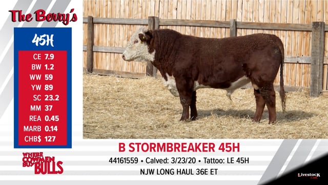 Lot #45 - B STORMBREAKER 45H