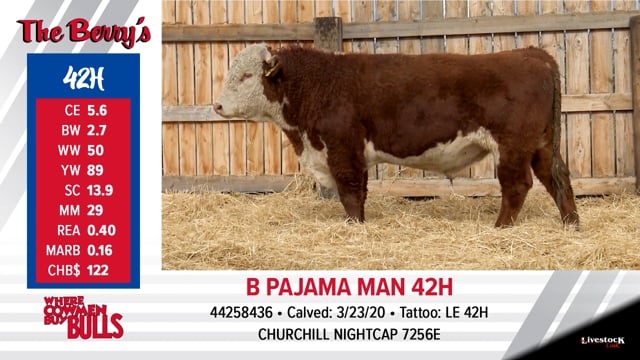 Lot #42 - B PAJAMA MAN 42H