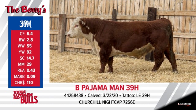Lot #39 - B PAJAMA MAN 39H
