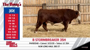 Lot #35 - B STORMBREAKER 35H