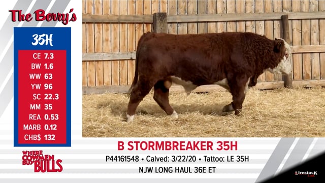 Lot #35 - B STORMBREAKER 35H