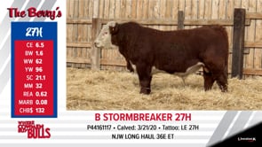 Lot #27 - B STORMBREAKER 27H