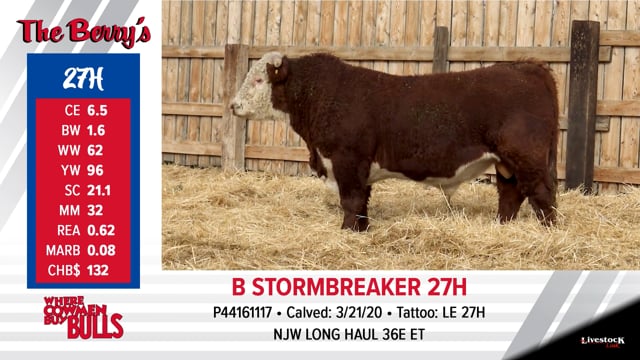 Lot #27 - B STORMBREAKER 27H