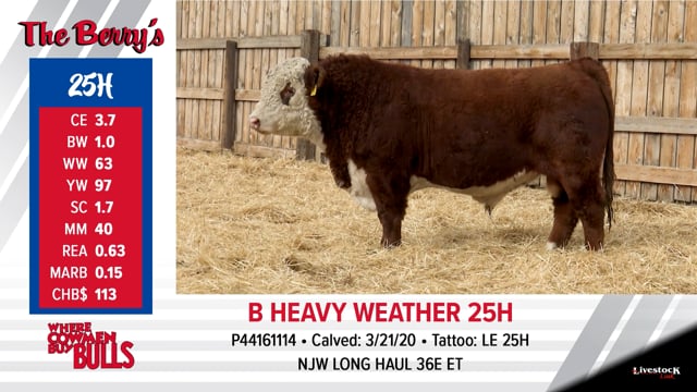 Lot #25 - B HEAVY WEATHER 25H