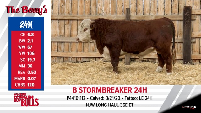 Lot #24 - B STORMBREAKER 24H