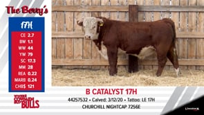 Lot #17 - B CATALYST 17H
