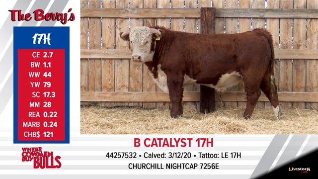 Lot #17 - B CATALYST 17H