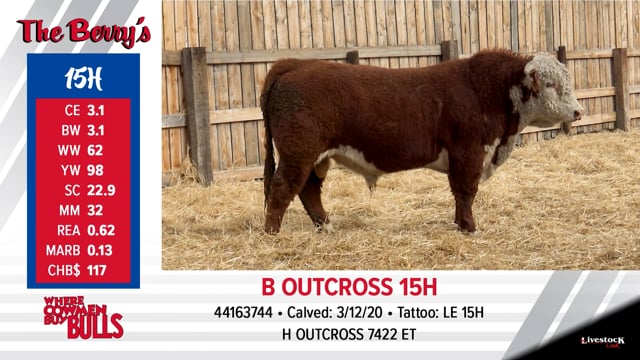 Lot #15 - B OUTCROSS 15H