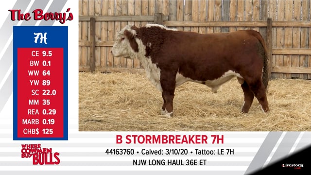 Lot #7 - B STORMBREAKER 7H