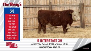 Lot #3 - B INTERSTATE 3H