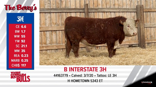 Lot #3 - B INTERSTATE 3H