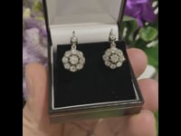 Diamond, 18ct, Silver Earrings 12353-2354