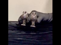 Silver Salt and pepper shakers 11737-2851