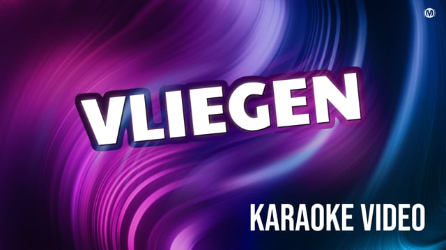 Vliegen (karaoke)